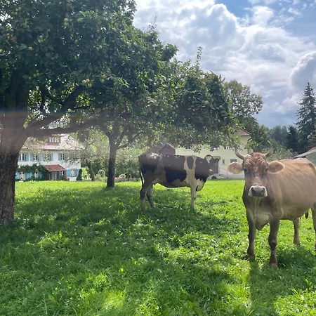 Sonnenschein 아파트 Simmersbach